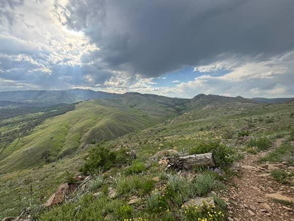 IMG_20251026_181025_551