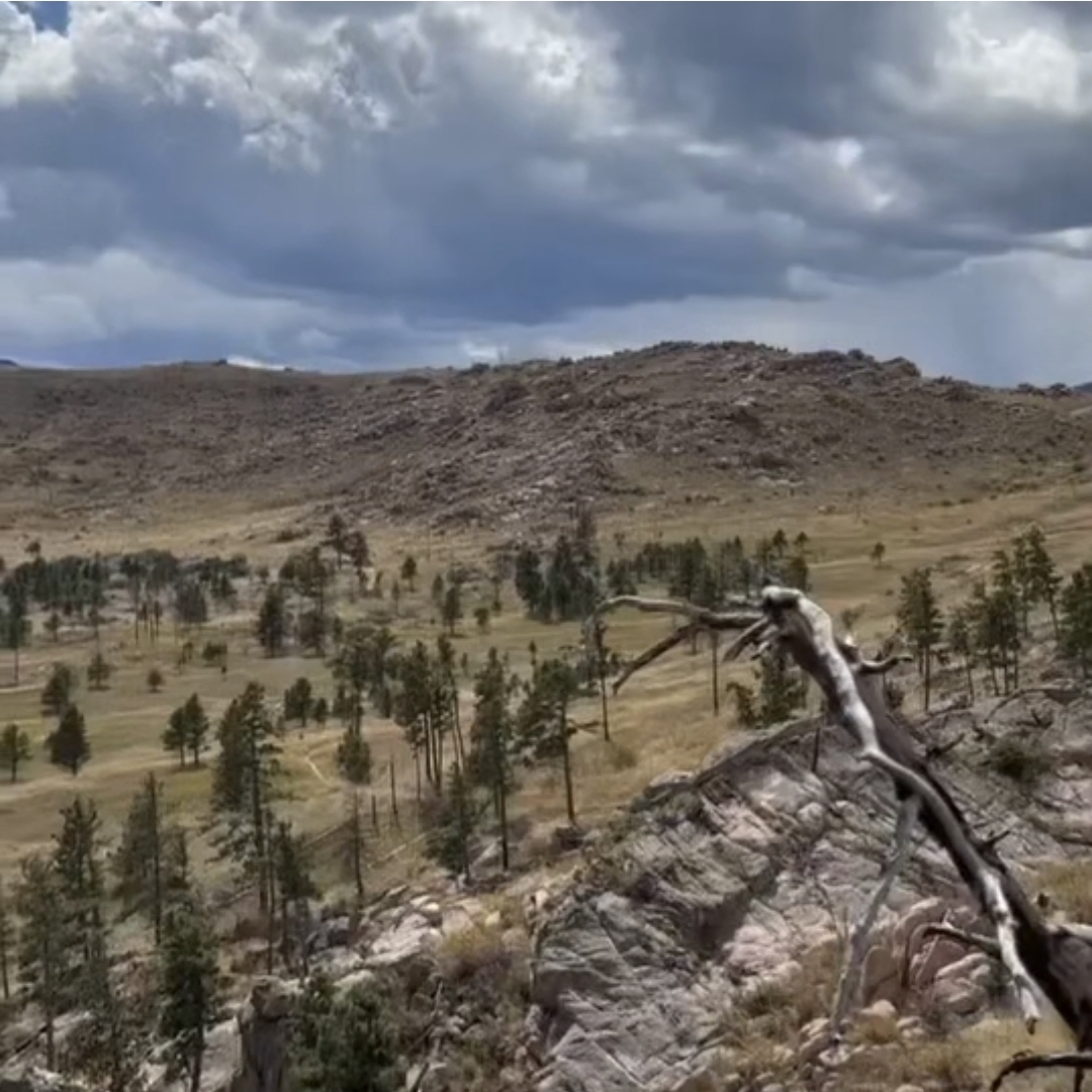 Screenshot_20251028_182115_Gallery