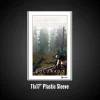 Plastic Frame (6)